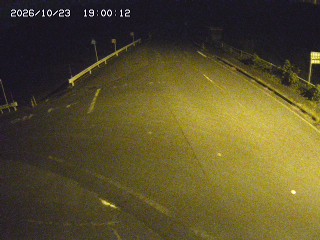 琴浦町三本杉