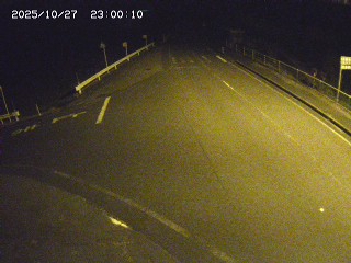 琴浦町三本杉