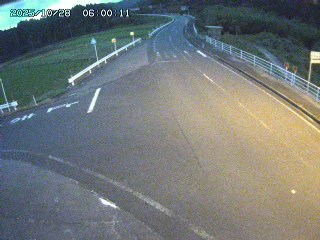 琴浦町三本杉