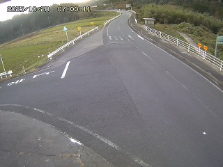 琴浦町三本杉