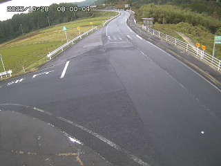 琴浦町三本杉
