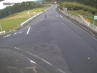 琴浦町三本杉