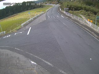 琴浦町三本杉