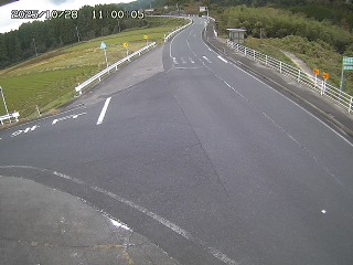 琴浦町三本杉