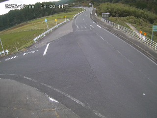 琴浦町三本杉