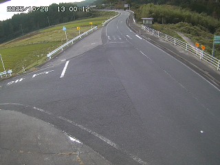 琴浦町三本杉