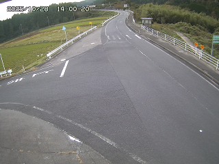 琴浦町三本杉