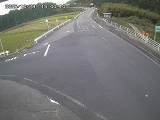 琴浦町三本杉