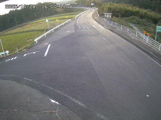 琴浦町三本杉