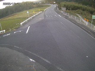 琴浦町三本杉