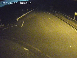 琴浦町三本杉