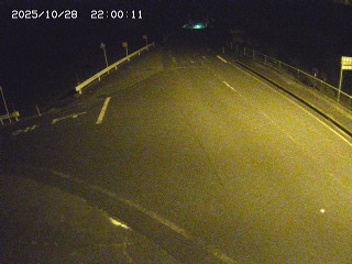 琴浦町三本杉