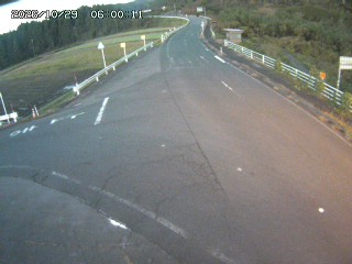琴浦町三本杉
