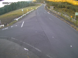 琴浦町三本杉