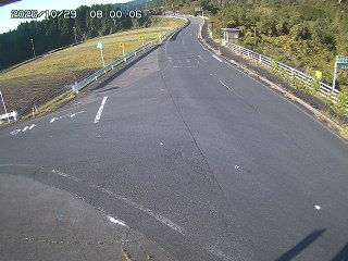 琴浦町三本杉
