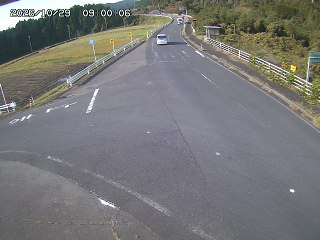 琴浦町三本杉