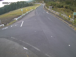 琴浦町三本杉