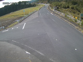 琴浦町三本杉