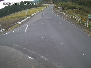 琴浦町三本杉