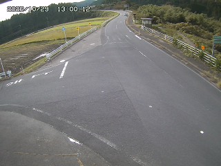 琴浦町三本杉
