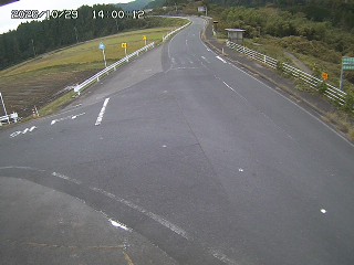 琴浦町三本杉