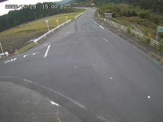 琴浦町三本杉
