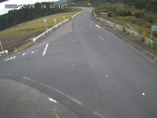 琴浦町三本杉