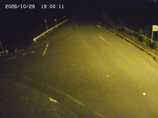 琴浦町三本杉