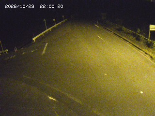 琴浦町三本杉