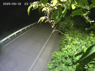 岩美町陸上