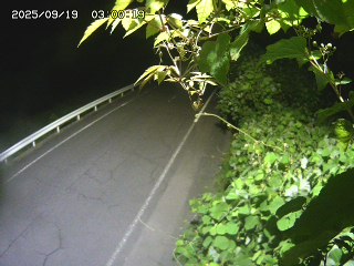 岩美町陸上