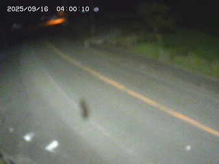 智頭町毛谷