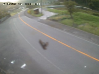 智頭町毛谷