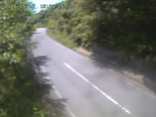 八頭町花原