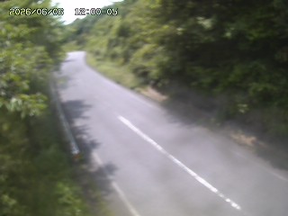 八頭町花原