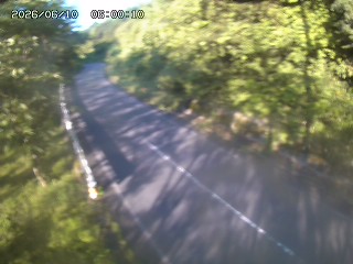 八頭町花原