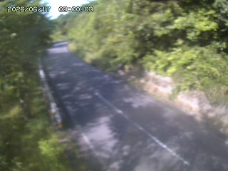 八頭町花原