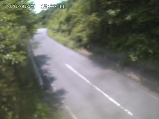 八頭町花原