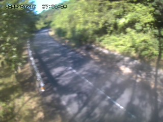 八頭町花原