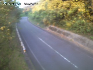 八頭町花原