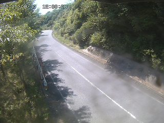 八頭町花原