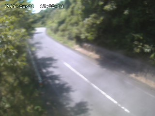 八頭町花原