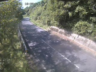 八頭町花原