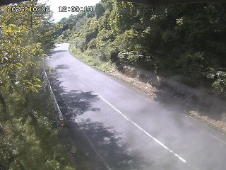 八頭町花原