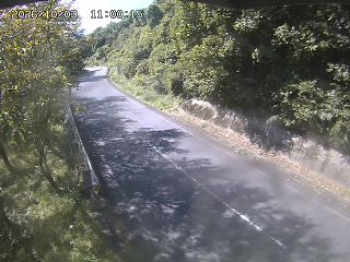 八頭町花原