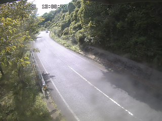 八頭町花原