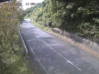 八頭町花原