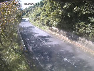 八頭町花原
