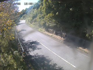 八頭町花原