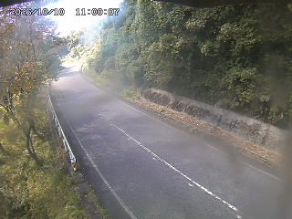 八頭町花原
